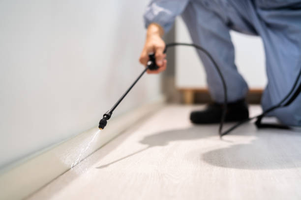 Bed Bug Pre-Treatment Preparation Assessment in Wellston