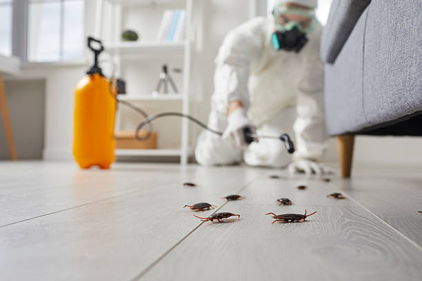 Post-Treatment Bed Bug Interceptor Monitoring in Wellston