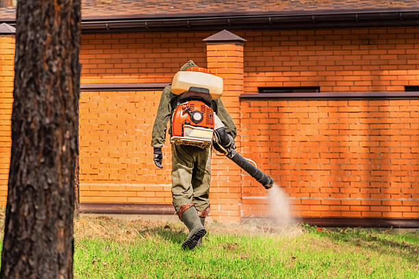 Bed Bug Clearance Verification and Documentation in Wellston